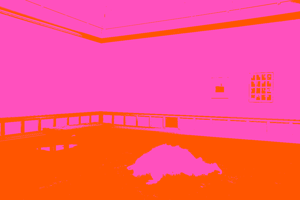 Asset6332e16977d287 44399279