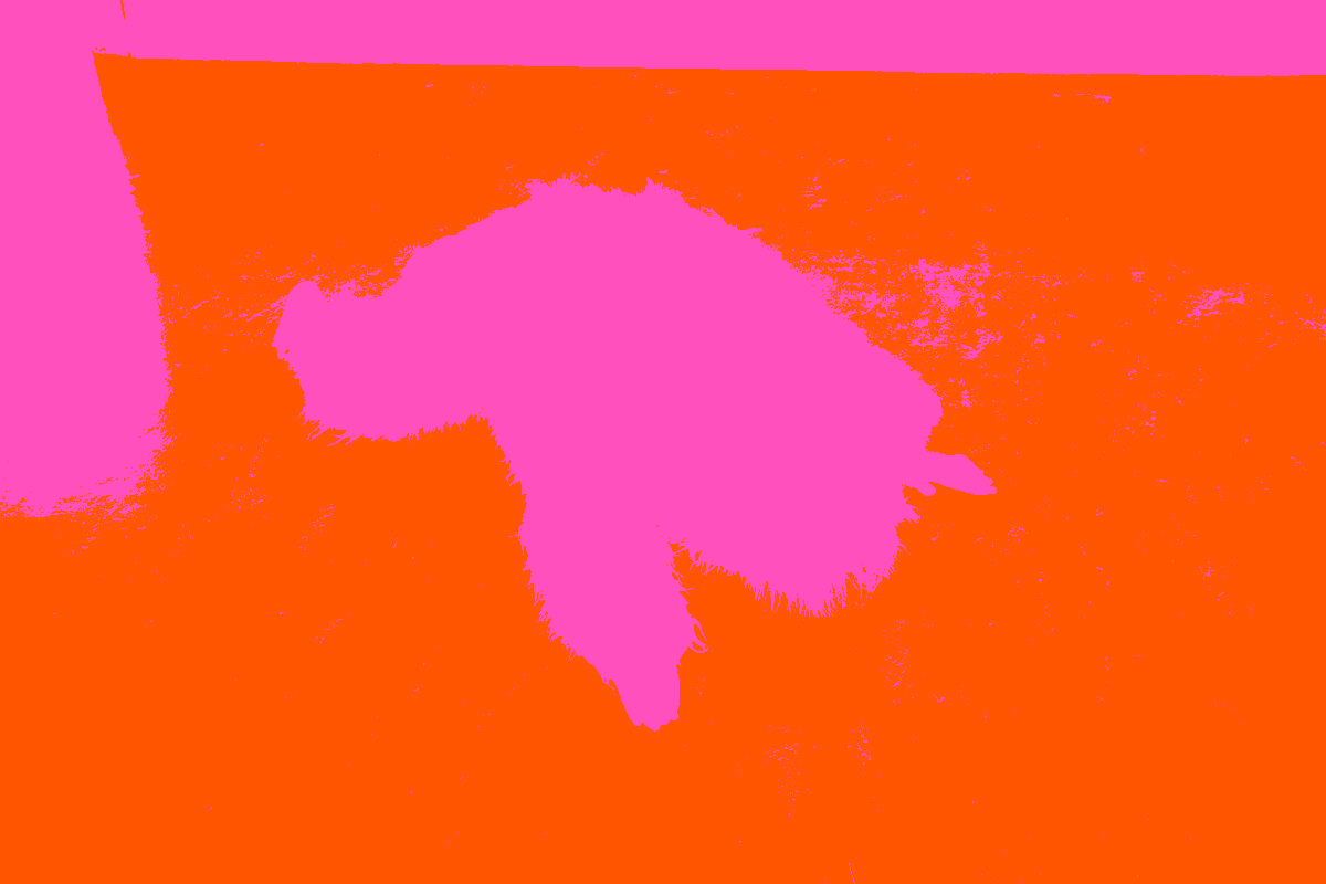 Asset6332e179a58af9 50963471